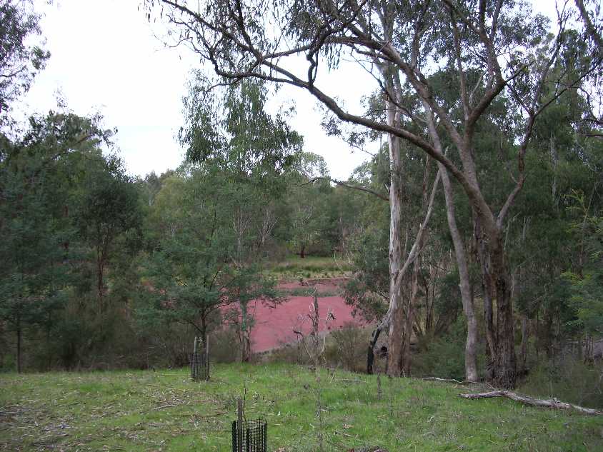 The Red Billabong viewed through the scraggy local trees - largely regrowth