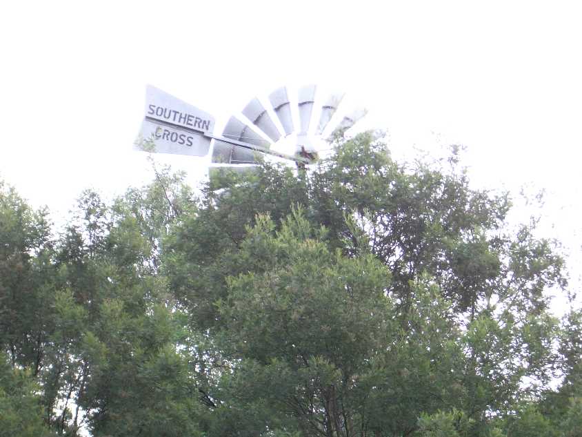 Southern Cross brand windmill operated pump in a grove of river gums and messmate.